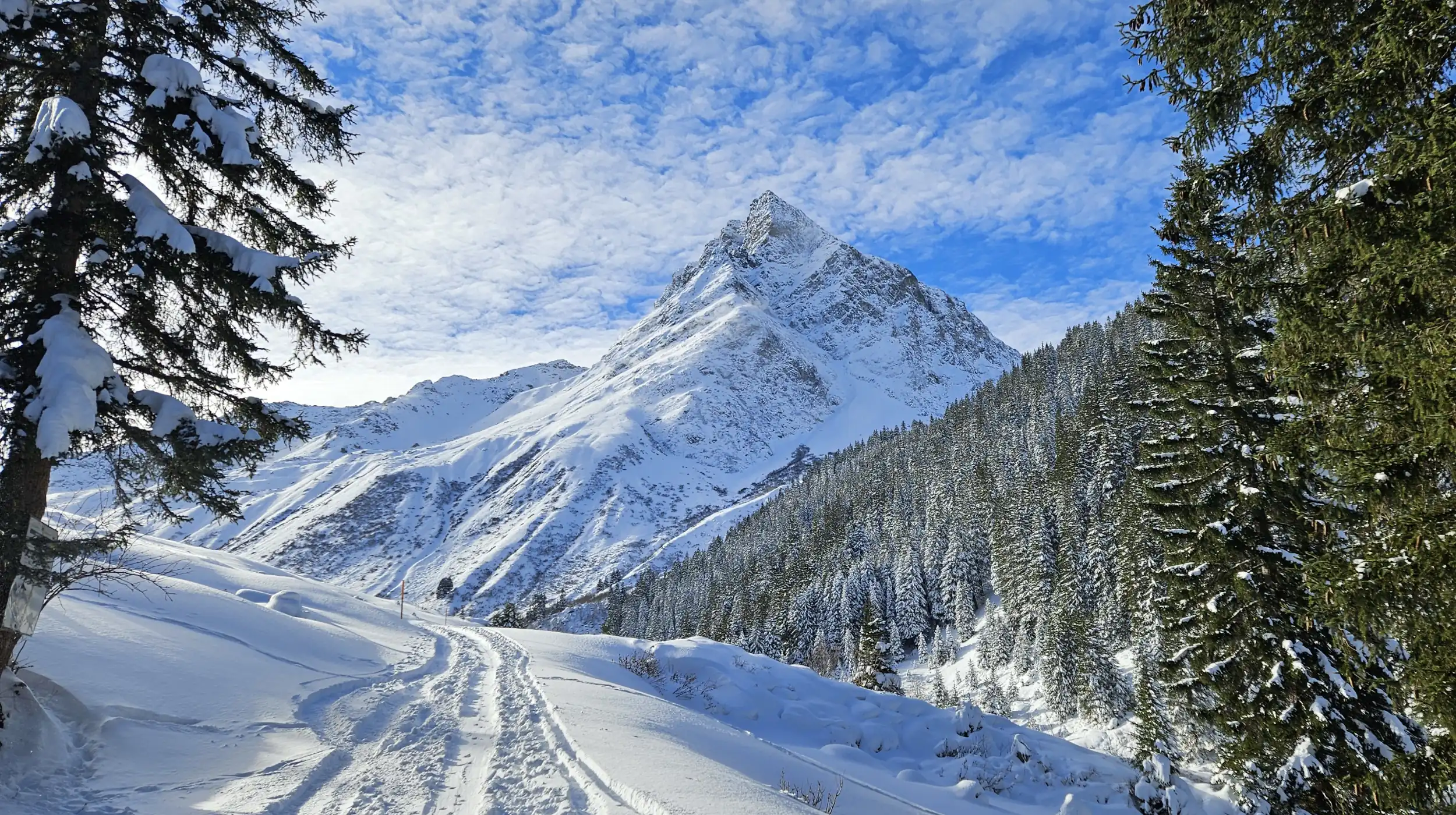 skitour gargellen.webp